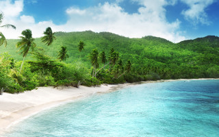 Beach trees water mountain blue - the background and a mountain in the distance free wallpaper