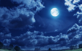 Full moon night sky forest - full moon free wallpaper for desktop