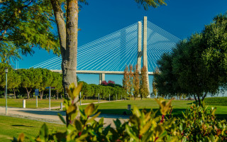 Bridge trees bench park scenery - a bench and trees free wallpaper for desktop