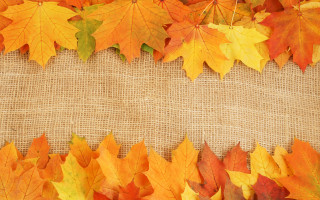 Autumn leaves burlock background puzzle - free autumn wallpaper