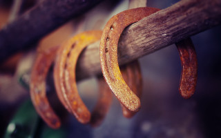 Wooden stick rings green object - ancell stronach free wallpaper