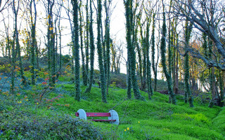 Bench green grass trees ecological - ecological art free wallpaper