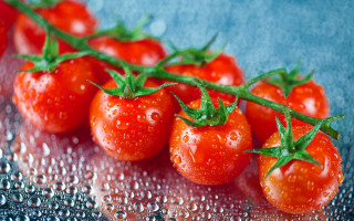 Tomatoes water drops leaves macro - top of a table free wallpaper for desktop