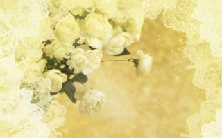 White flowers yellow background lace - text free wallpaper for desktop
