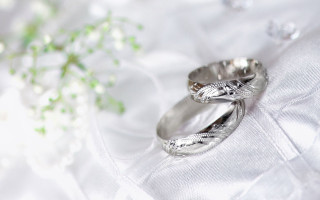 Wedding rings white cloth flowers - a white cloth free wallpaper
