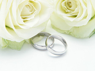 Wedding rings roses white background - ring free wallpaper