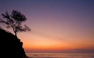 Lone tree cliff ocean sunset - the ocean free wallpaper