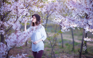 Woman blooming tree pink sweater - a blue sweater free wallpaper