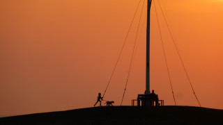 Hilltop sunset romanticism dog telephoto - telephoto free wallpaper