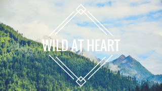 Mountain wild heart forest triangle - wild free wallpaper