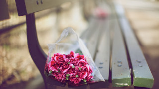 Flowers bouquet park stilllife blurry - a bench next free wallpaper