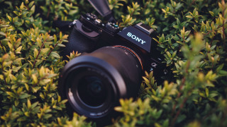 Camera bush sony lens photorealism - 5 0 mm len free wallpaper