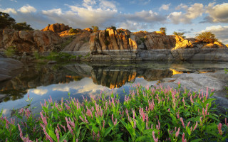 Lake rocks flowers clouds sky - a few pink flower free wallpaper for desktop