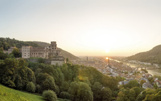 Heidelberg tiltshift panorama castle river - a hill in the background free wallpaper