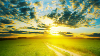 Dirt road field sunset clouds 3 - a dirt road in a field free wallpaper