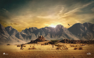 Desert mountain bird flying sky - a desert scene free wallpaper