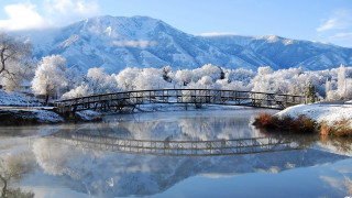 Bridge river mountain snow trees 4 - the ground and trees free wallpaper for desktop