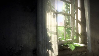 Window plant growing dark room - craig mullins free wallpaper for desktop
