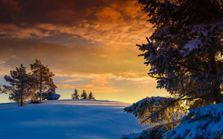 Sunset snowy hill trees red - ferenc joachim free wallpaper