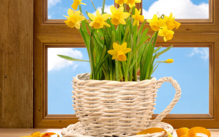 Flower basket window sky mountains - david ramsay hay free wallpaper