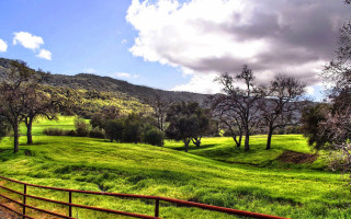 Lush green hillside trees fence - a lush green hillside free wallpaper