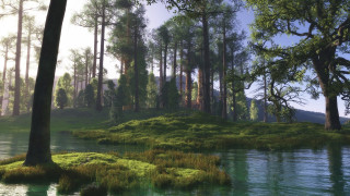 Forest lake trees grassy bank - a lake and trees free wallpaper