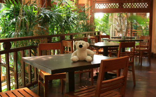 Teddy bear restaurant wooden chairs - aloysius okelly free wallpaper