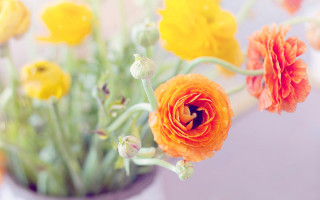 Vase flower autumn blurry background - a table top next free wallpaper