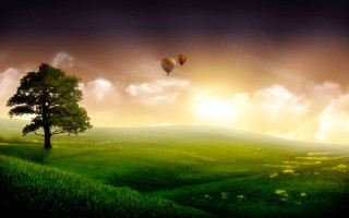 Tree hot air balloon sunset 4 - a sunset in the background free wallpaper for desktop
