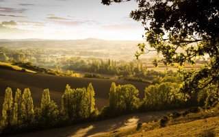 Valley trees hills sunbeam autumn - a view of a valley free wallpaper
