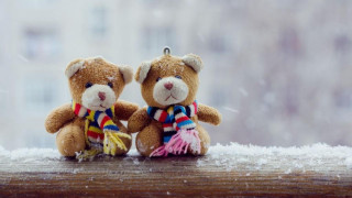 Teddy bears snow winter outdoors - two teddy free wallpaper