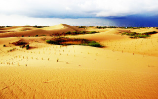 Desert trees cloudy sky mountain - a desert free wallpaper for desktop