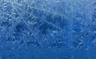 Frosty window blue sky leaves - frosty free wallpaper