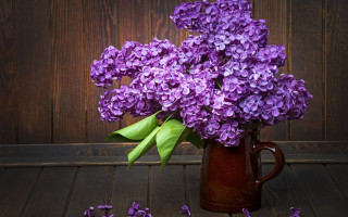 Purple hydrangea vase wooden table - purple flower free wallpaper