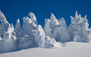 Snowy mountain blue sky trees - abstract free wallpaper