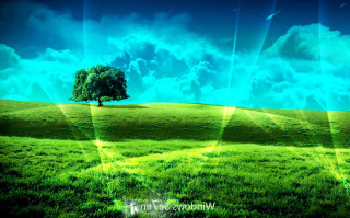 Green field tree blue sky 3 - cloud and sun beams free wallpaper