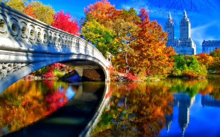 Autumn bridge river city trees - autumn time free wallpaper