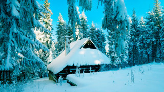 Snowy cabin woods branch blue - movement free wallpaper
