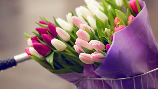 Flowers basket handle purple cloth - a bunch of flowers free wallpaper