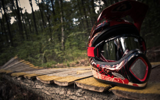 Helmet goggles log woods nature - in the wood free wallpaper for desktop