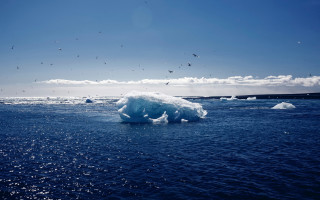 Iceberg ocean birds sky clouds - bird free wallpaper for desktop