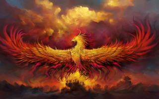 Bird fire wings sky embers - a painting of a bird free wallpaper