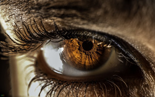 Eye closeup brown eyeliner long - macro len free wallpaper for desktop