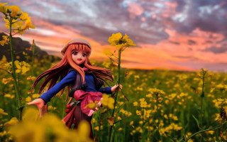 Doll field flower sunset pink - a pink sky in the background free wallpaper for desktop