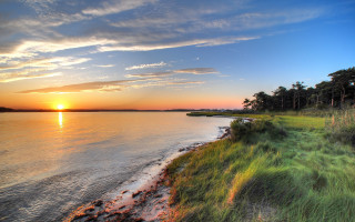 Sunset water grassy shore trees 2 - free summer wallpaper