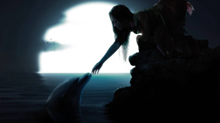 Woman dolphin night moonlight dreamlike - dreamlike free wallpaper for desktop
