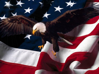 Eagle flying flag stars wings - back side free wallpaper for desktop