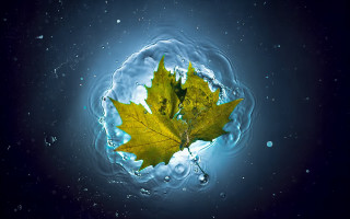Leaf floating blue water bubbles - anne geddes free wallpaper for desktop