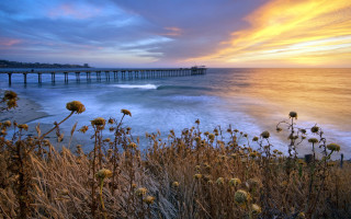 Sunset ocean pier wildflowers beach - a few wave free wallpaper