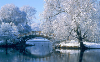 Bridge river snow trees small - movement free wallpaper